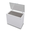 FAM FREEZER POZO T/C 310  300LT FAM
