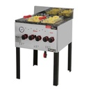 FREIDORA STANDARD F35 (35L) - 2 CANASTO - EXTERIOR ACERO - QUEMADORES INDIVIDUALES