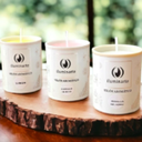 VELON VOTIVO PARAF AROM X UNIDAD C/VASO - CITRONELLA